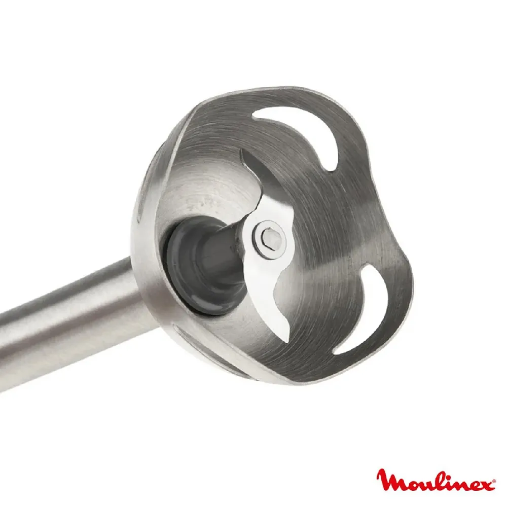 قیمت گوشت کوب برقی DD45 مولینکس